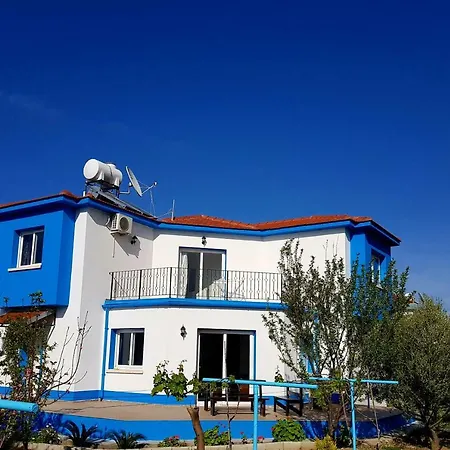Villa Olive Tree