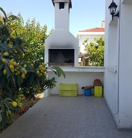 Olive Tree Lapitos
